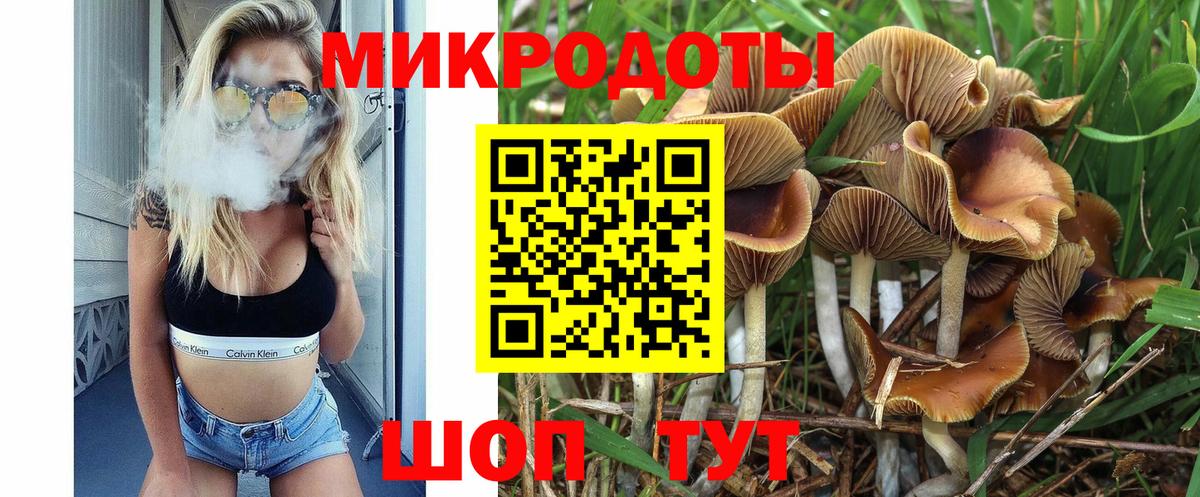 Галлюциногенные грибы MAGIC MUSHROOMS Чусовой
